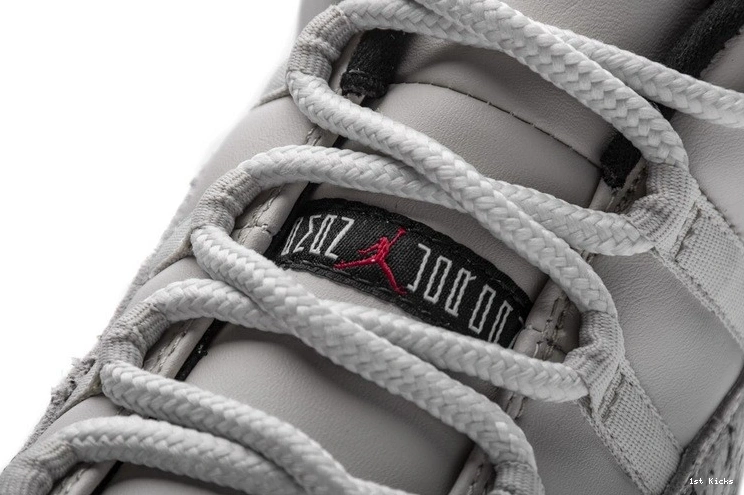 Jordan Bone Low Light 11 Retro  Snake CD6846-002 0414